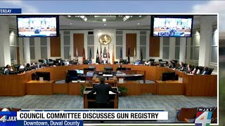 State attorney pumps brakes on special investigating committee into Jacksonville firearm registry