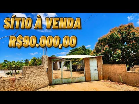 SÍTIO À VENDA em Santa Maria do Cambucá - PE | Oportunidade no Sítio Manduri | R$ 90 mil