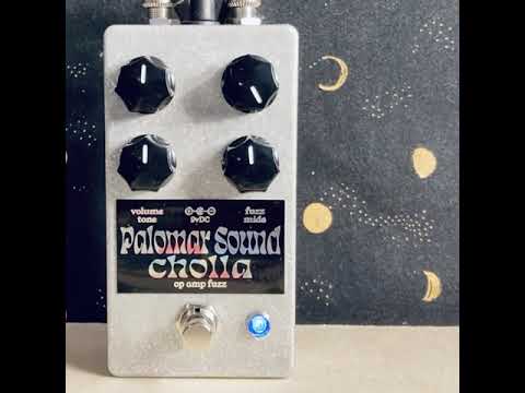Palomar Sound Cholla image 2