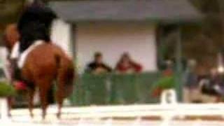 Theodore O&#39;Connor: Bad pony. Bad, BAD pony! (2)