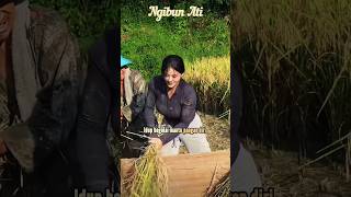 Download lagu SENYUM WALAUPUN BERAT #shortsfeed #laguibanbaru #laguiban #lagudayakiban #lagudayakterbaru #shorts mp3
