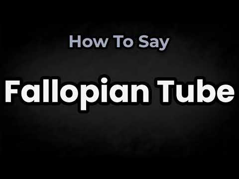 How To Pronounce Fallopian Tube? (CORRECTLY) Meaning & Pronunciation
