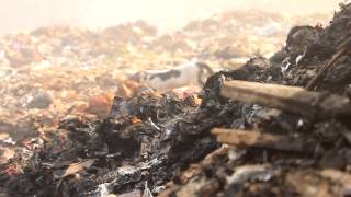 preview picture of video 'Sampah dan Kesadaran - SMAN 2 PANDEGLANG'
