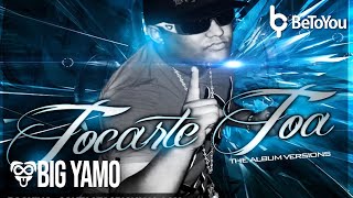 Big Yamo Ft. Calle 13 - Tocarte Toa Remix