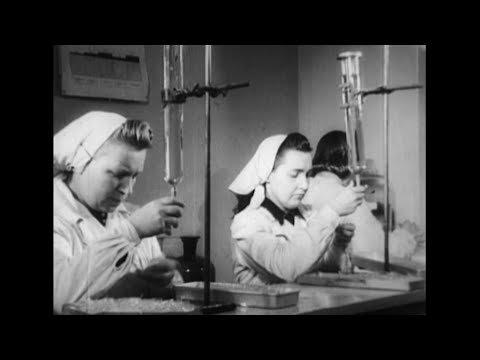 Maršrutas nr. 18 - Farmacijos pramonė