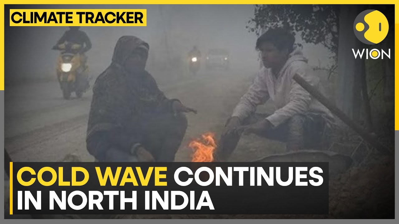 India Weather Update: Cold Wave Grips Northern India; Weather Department Predicts Rainfall In South