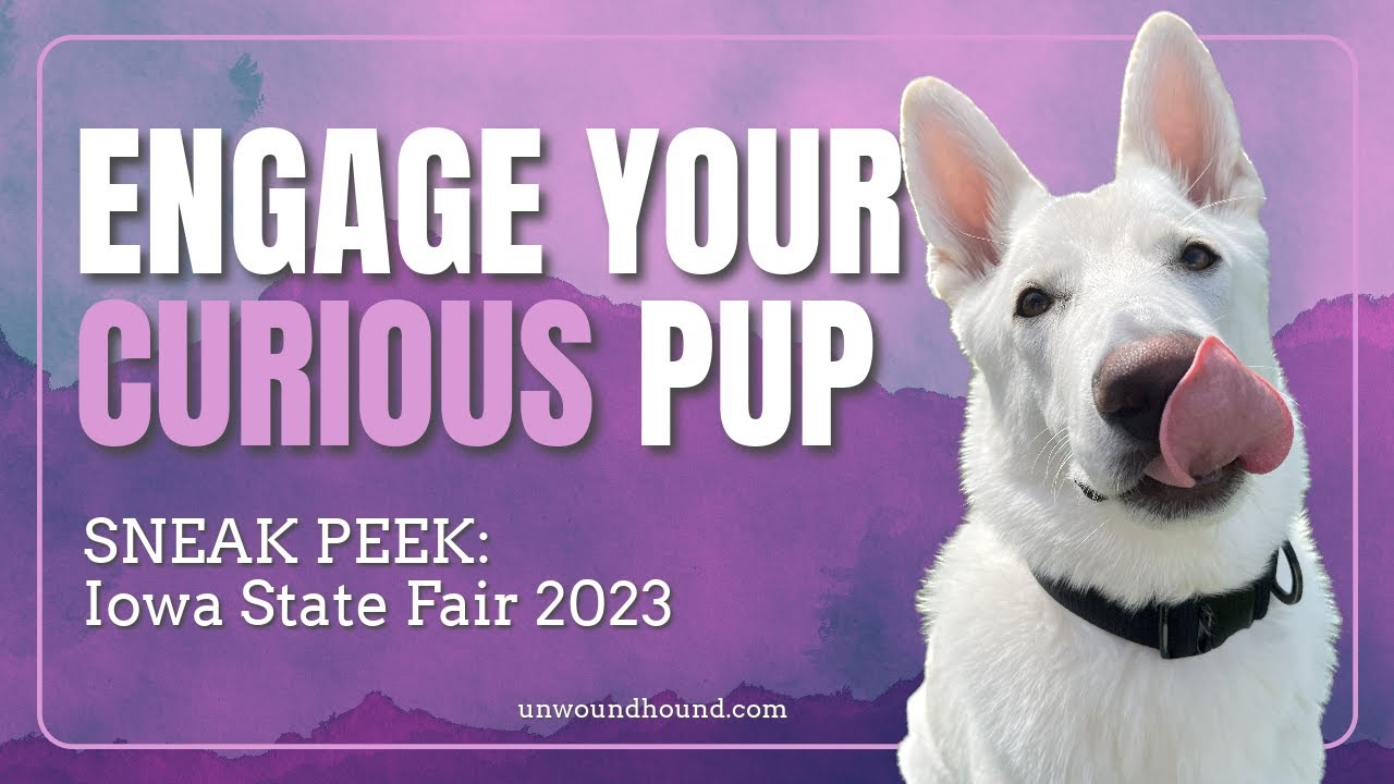 Sneak Peek: Iowa State Fair 2023