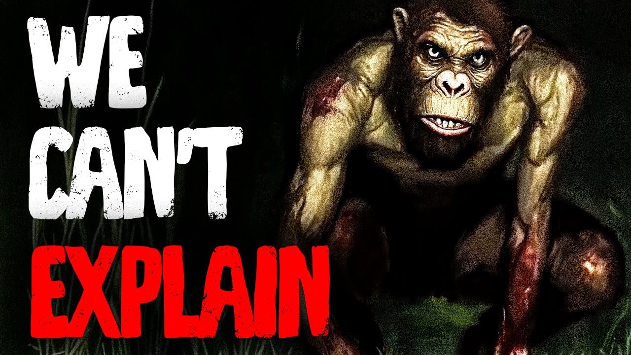 What Was The First Human Species?