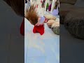 Khushijaan Dhamal At Lal Qalandar Shahbaz Sewan Sharif Dargah Dhamal Jin Dance