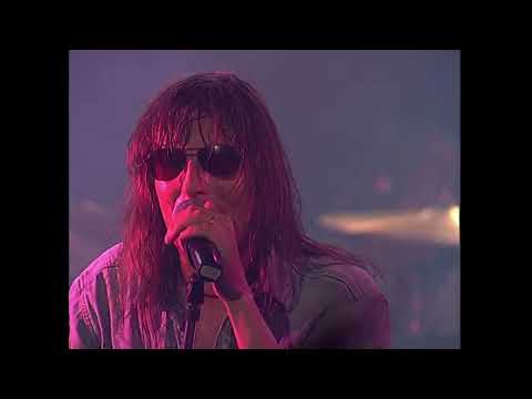 Arakain Amadeus 20 let natvrdo