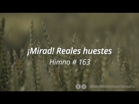 163. ¡Mirad! Reales huestes
