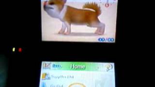 Nintendogs-how to get your dogs to breed