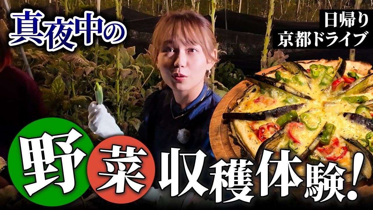 【新感覚】京都の夜に野菜収穫体験！採れたて野菜でピザ作り！