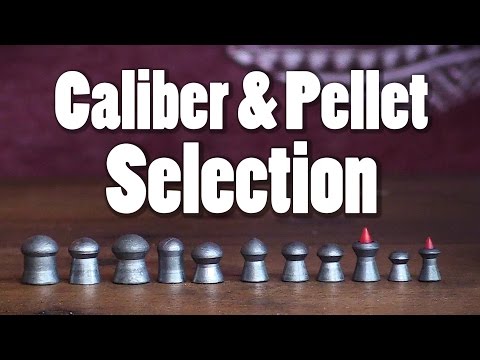 Caliber & Pellet Selection | AB101 Pt. 7