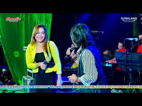 CAMELIA MUSIC - RUJUK - RIA ANDIKA & LUKITO - WEDDING SEKAR & YANTO CEPOGO KEMBANG JEPARA