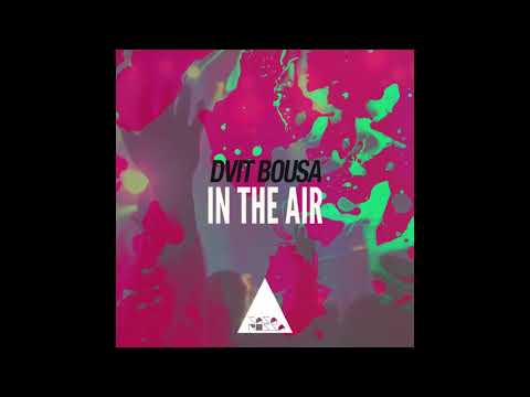 Dvit Bousa - In the Air (Original Mix)