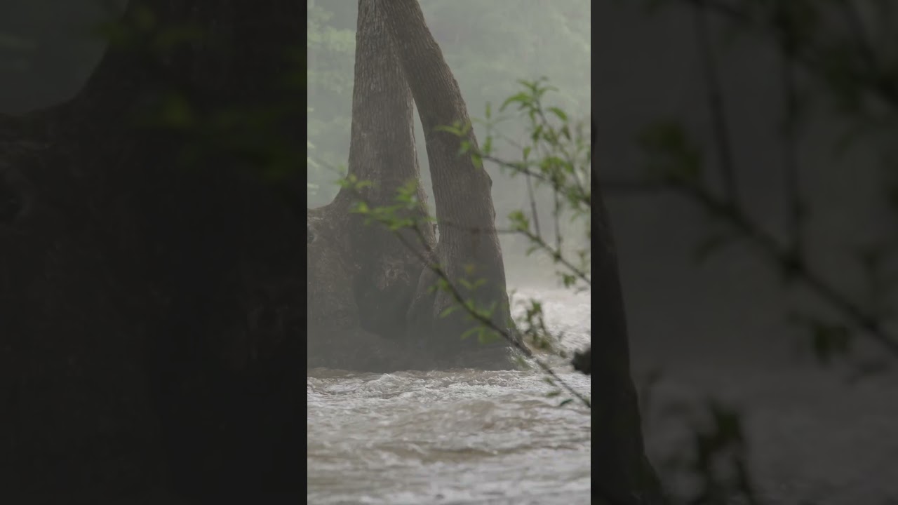15 seconds of Alabama's Freshwater Wonders