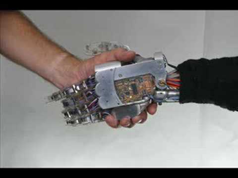 Crazy Penis - You Are We