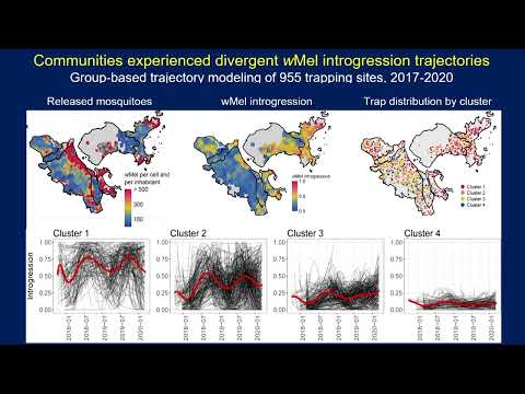 Wolbachia-based interventions for arboviral diseases: Will this be a public health success