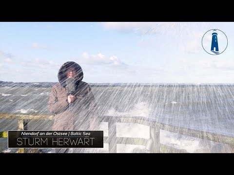⚪️ Sturm Herwart - Niendorf an der Ostsee