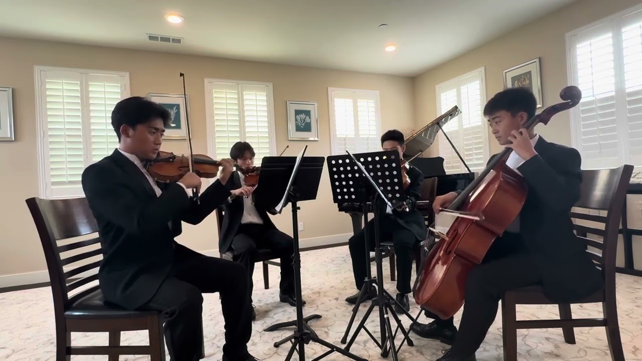Promotional video thumbnail 2 for The Classical Quartet