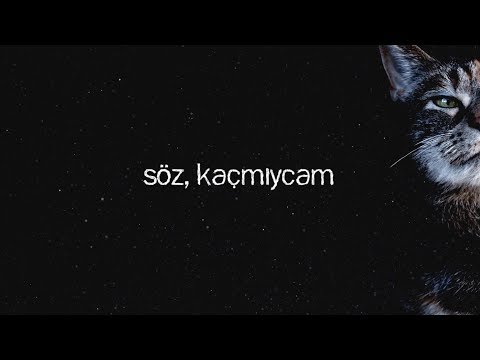 Kaç Canım Kalmış - Söz, Kaçmıycam
