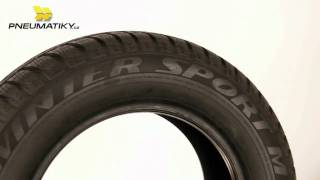 Dunlop SP Winter Sport M3 (245/45R18 96V) - відео 1