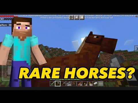 Rare Horses In Minecraft Mode Hard Mode Survival 204 #minecraft