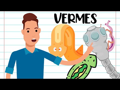 RESUMO - Platelmintos