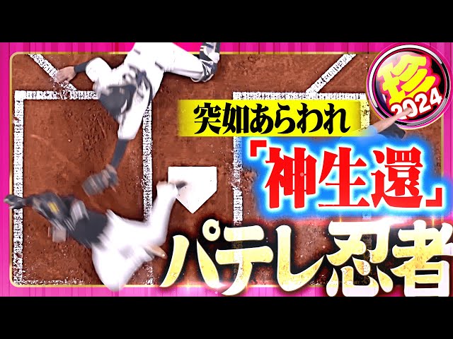 【突如あらわれる】パテレ忍者2024