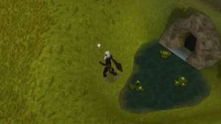 RuneScape ~ White Berries guide [350k+/h]!