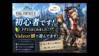 ＃44　FF11 ヴァナ・バウトしたりいつもの作業だったり？
