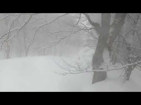 Video: 2022/2/20 赤倉観光リゾートスキー場、高難易度の非圧雪ホテルAコースを滑ってみました。コブが深い！