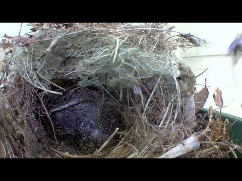 I guess someone didn't get the memo