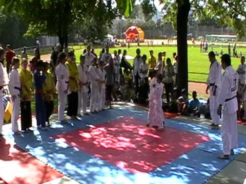 60 Jahre Sportfreunde Harteck 26. Juli 2009 (Judo)