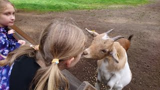 Wir besuchen den Wildpark Eekholt