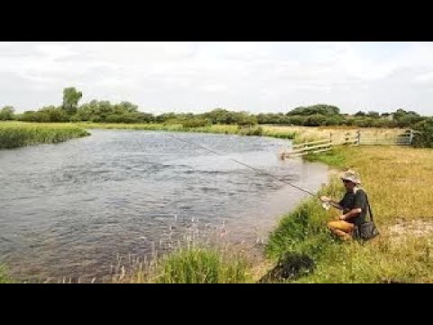 Ray Walton - HAMPSHIRE AVON, BURTON, DORSET