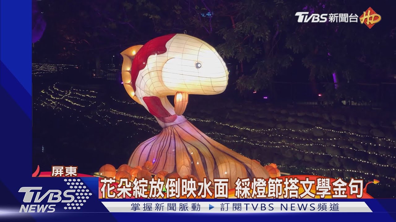 花朵綻放倒映水面　綵燈節搭文學金句