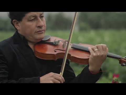 No Quiero Que Andes Llorando Autor D. R. Orquesta Lirio De Uchupata Chancay 