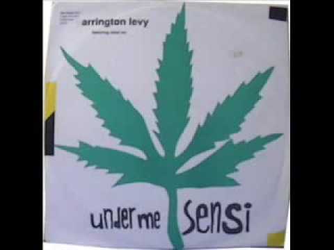Barrington Levy amp Rebel MC Under Me Sensi