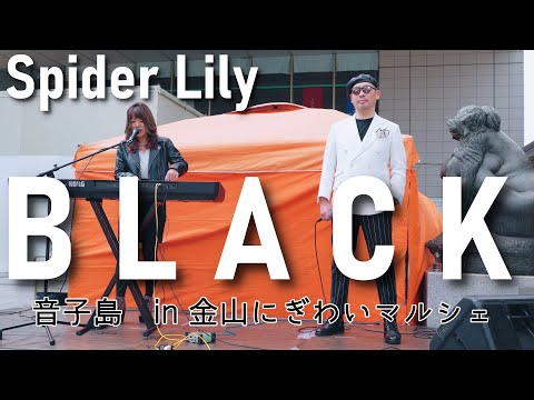 園芸 イスメーネ、スパイダーリリー