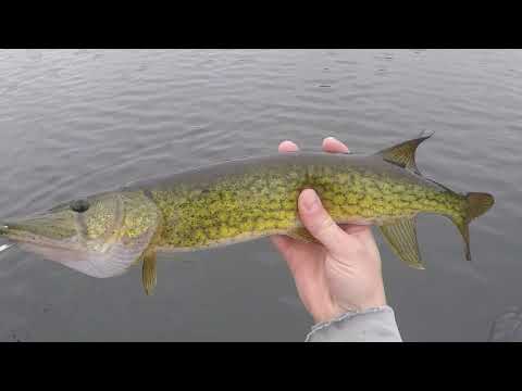 Flog 59: Earth Day Trolling