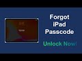 Forgot iPad Password? Unlock iPad without Passcode (No Data Loss)