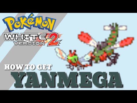 How to get YANMEGA