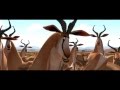 Khumba DVD Release IsiZulu Sprinbok Scene