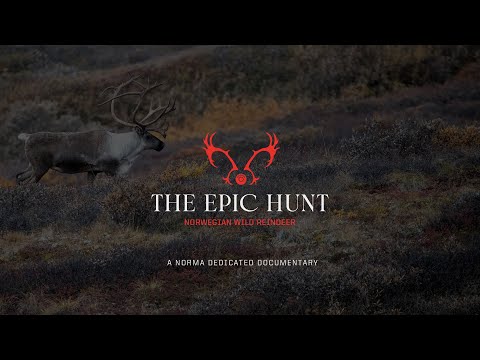 The Epic Hunt: Norwegisches Wild Rentier – Teil 1