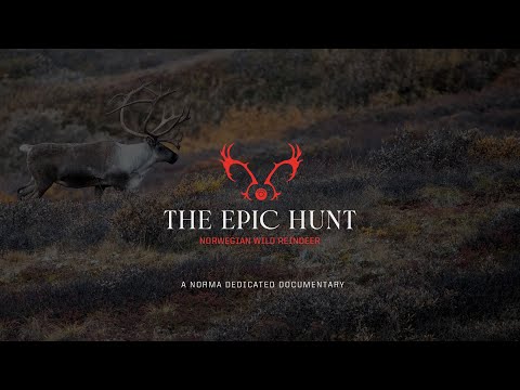 norma: La caccia epica: da Norma una serie di avvincenti video sulla caccia alla renna selvatica in Norvegia