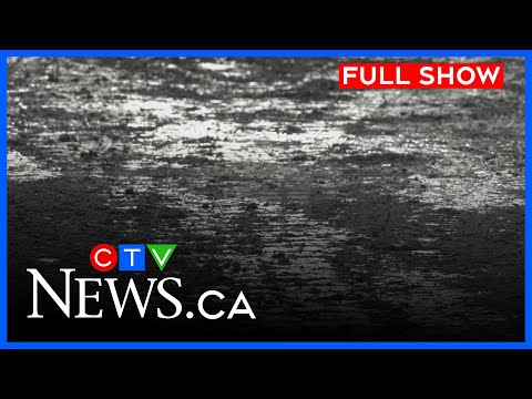 75% of Edmonton residential streets cleared | CTV News Edmonton at Six for Jan. 20, 2026