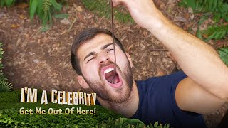 Owen has a feast in the Bushtucker Bonanza! | I&#39;m A Celebrity... Get Me Out Of Here!