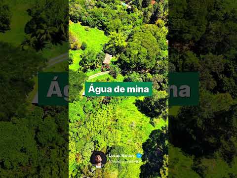 CHÁCARA À VENDA EM SANTO ANTÔNIO DO PINHAL